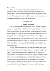 Teledesic projektas 11 puslapis