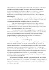 Teledesic projektas 3 puslapis