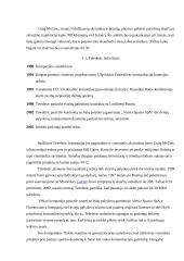 Teledesic projektas 4 puslapis