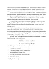 Teledesic projektas 5 puslapis