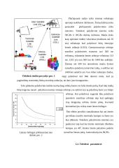 Teledesic projektas 6 puslapis