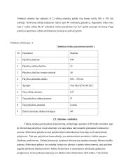 Teledesic projektas 7 puslapis