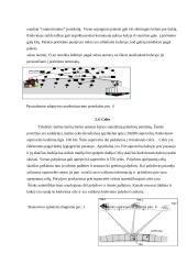 Teledesic projektas 8 puslapis