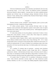 Televizija Lietuvoje 2 puslapis