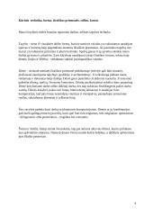 Menų mokyklinis brandos egzaminas, dailės kryptis. Kūrybinio darbo aprašas 5 puslapis