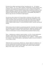 Menų mokyklinis brandos egzaminas, dailės kryptis. Kūrybinio darbo aprašas 6 puslapis