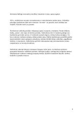 Menų mokyklinis brandos egzaminas, dailės kryptis. Kūrybinio darbo aprašas 7 puslapis