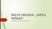 Balys Sruoga ,,Dievų miškas‘‘