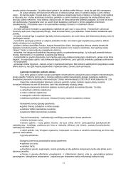 Terorizmas pasaulio valstybėse 11 puslapis