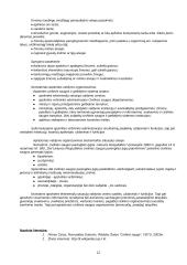 Terorizmas pasaulio valstybėse 12 puslapis