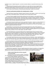 Terorizmas pasaulio valstybėse 3 puslapis