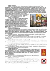 Terorizmas pasaulio valstybėse 7 puslapis