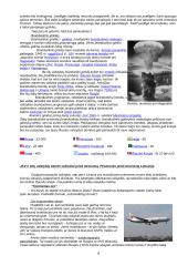 Terorizmas pasaulio valstybėse 9 puslapis