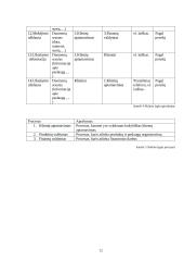 „Topo centras“ organizacijos klientų aptarnavimo veiklos analizė 11 puslapis