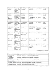 „Topo centras“ organizacijos klientų aptarnavimo veiklos analizė 13 puslapis