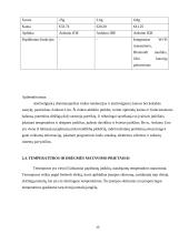 Mikroklimato valdymo sistema 13 puslapis