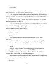 Mikroklimato valdymo sistema 14 puslapis