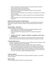 Tėvynės Sąjunga 12 puslapis