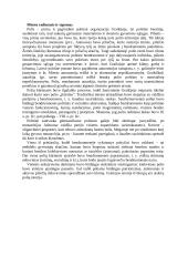 Miesto radimasis ir tapsmas