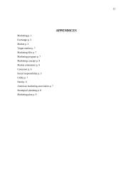 The importance of marketing in business today 13 puslapis