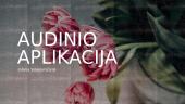 Audinio aplikacija