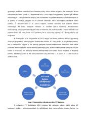 Nekilnojamojo turto rinkos veiksnių analizė 14 puslapis