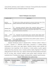 Nekilnojamojo turto rinkos veiksnių analizė 6 puslapis