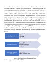 Nekilnojamojo turto rinkos veiksnių analizė 8 puslapis