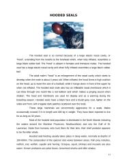 The strangest animals 11 puslapis