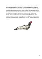 The strangest animals 12 puslapis