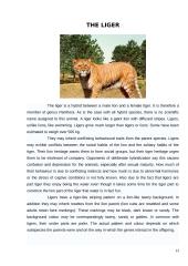 The strangest animals 13 puslapis