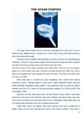 The strangest animals 14 puslapis