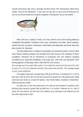 The strangest animals 15 puslapis