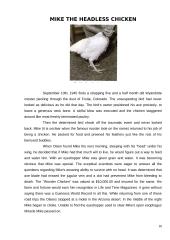 The strangest animals 16 puslapis