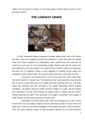 The strangest animals 9 puslapis