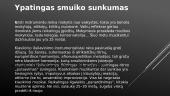 Džiazo smuikininkai 5 puslapis