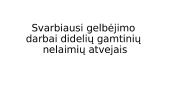 Svarbiausi gelbėjimo darbai didelių gamtinių nelaimių atvejais