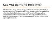 Svarbiausi gelbėjimo darbai didelių gamtinių nelaimių atvejais 4 puslapis