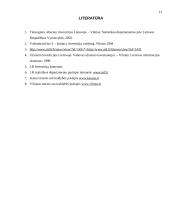 Tiesioginės užsienio investicijos (TUI) 12 puslapis