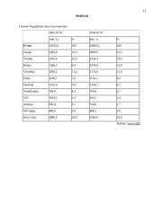 Tiesioginės užsienio investicijos (TUI) 13 puslapis