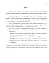 Tiesioginės užsienio investicijos (TUI) 3 puslapis