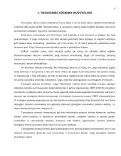 Tiesioginės užsienio investicijos (TUI) 4 puslapis