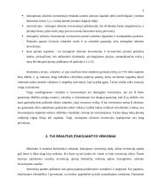 Tiesioginės užsienio investicijos (TUI) 5 puslapis