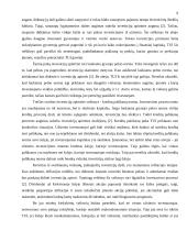 Tiesioginės užsienio investicijos (TUI) 6 puslapis