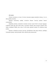 Tiesioginės užsienio investicijos Lietuvoje 13 puslapis