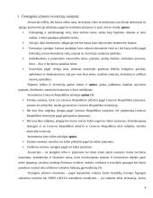 Tiesioginės užsienio investicijos Lietuvoje 4 puslapis