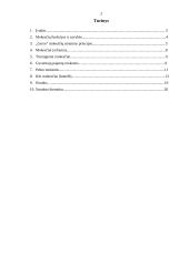 Tiesioginiai mokesčiai ir jų apskaita 2 puslapis