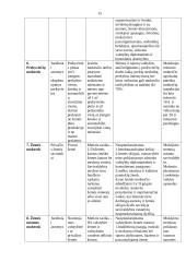 Tiesioginiai mokesčiai ir jų apskaita 15 puslapis
