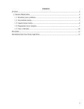 Tiesos problematika 2 puslapis