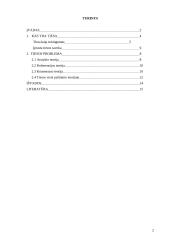 Tiesos problemos teorijos 2 puslapis